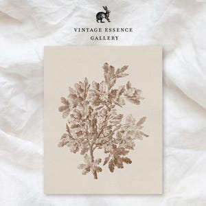 May include: A sepia-toned botanical print featuring a detailed illustration of a tree with large, textured leaves. The artwork is set against a cream-colored background, with the words "VINTAGE ESSENCE GALLERY" above the image.