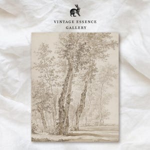 May include: A black and white pencil drawing of a group of trees in a woodland. The trees are tall and slender, with their branches reaching up towards the sky. The drawing is done in a realistic style, with the details of the bark and leaves clearly visible.