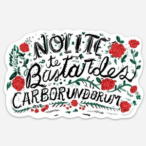 Nolite te Bastardes - Don't Let The Bastards Get You Down - Feminist bumper sticker - Roe V Wade - Feminist magnet - Pro-Choice car magnet