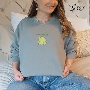 May include: A grey sweatshirt with a green frog graphic and the text "Don't Stare" printed on the front.