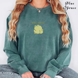 May include: A teal green sweatshirt with a frog graphic and the text "Don't Stare" in yellow.