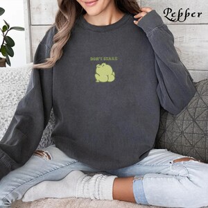 May include: A dark gray sweatshirt with a green cartoon frog and the text "Don't Stare" printed on the front.