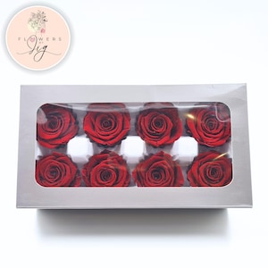 Red Preserved Rose Heads (Set of 8): Eternal Flowers, DIY Crafts