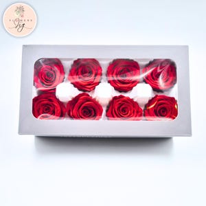 Red Preserved Rose Heads (Set of 8): Real Eternal Flowers, DIY Crafts