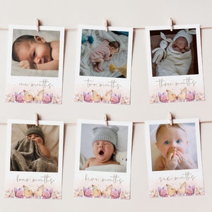 Butterfly One Year Photo Banner, 1st Birthday, First Year Month Photos, Monthly Photo Banner, Butterfly Birthday, Edit with TEMPLETT, PP-FB1