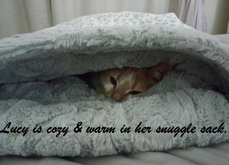 Puede incluir: Un gato jengibre con marcas blancas est&aacute; acurrucado dentro de una manta suave, esponjosa, gris y blanca. El gato est&aacute; mirando desde debajo de la manta. El texto "Lucy is cozy & warm in her snuggle sack." est&aacute; escrito en la manta.