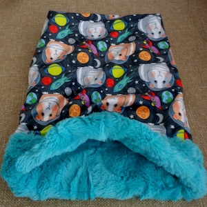 Guinea Pig Snuggle Sack- Pouch for Guinea Pigs - Whimsical Piggy Print with coordinating Minky fur lining - 11&quot;x12&quot;