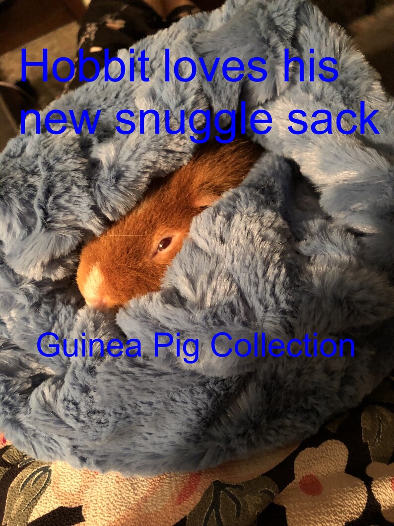 Guinea Pig Snuggle Sack Pouch for Guinea Pigs Whimsical Etsy