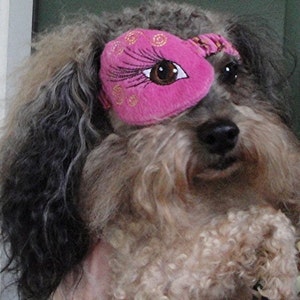 Chihuahua eye patch cheap