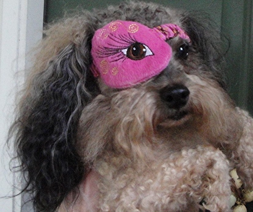 EYE PATCH DOGS Eye Love You Fashionable Pet Eye Patch Custom Made and Embroidered Etsy Canada
