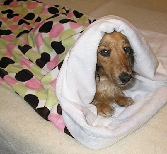 Items similar to Snuggle Sack for Dogs Lightweight Snuggle Sack