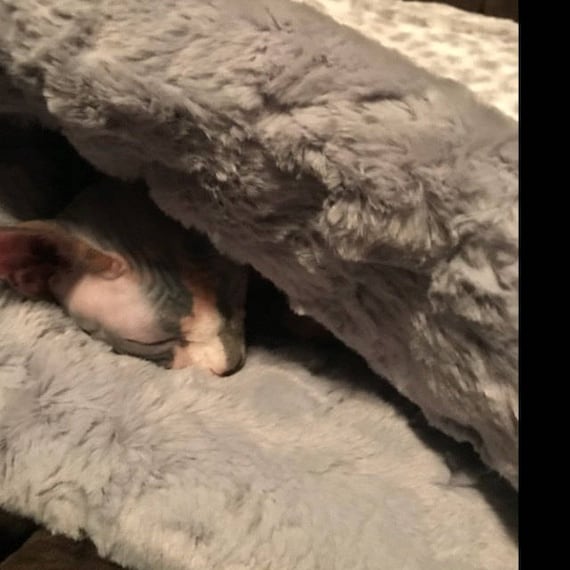 Snuggle Sack  - Cat Cave -  lynx minky -  Includes Embroidered Personalization