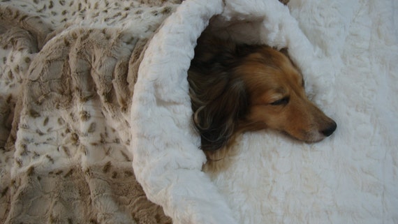 dog snuggle sack