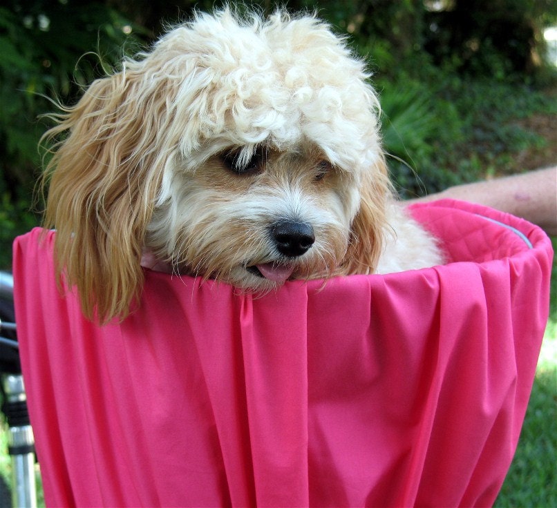 Bicycle Basket Liner Dogs Pets Includes Embroidered Etsy