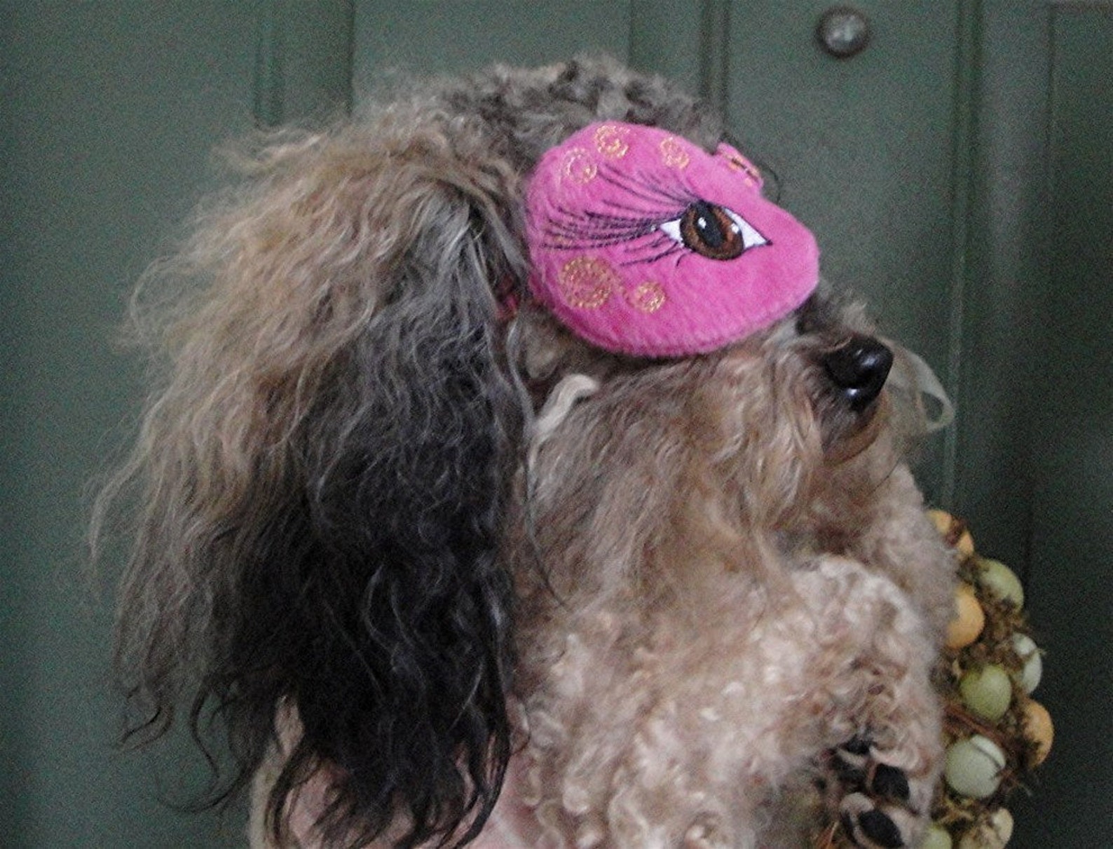EYE PATCH DOGS Eye Love You Fashionable Pet Eye Patch Etsy