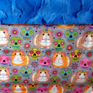 Guinea Pigs Snuggle Sack- Pouch for Guinea Pigs - Whimsical Piggy Print with coordinating Minky fur lining - 12&quot;x15&quot;