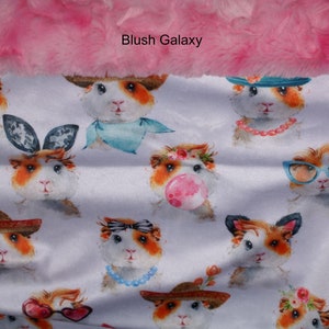 Guinea Pig Snuggle Sack- Pouch for Guinea Pigs - Whimsical Piggy Print with coordinating Minky fur lining - 11&quot;x12&quot;