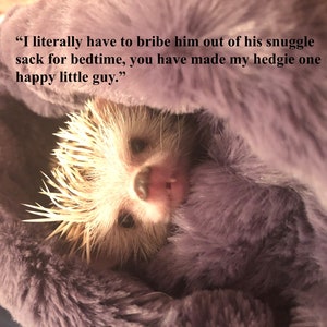 Snowball Hedgehogs w Sherpa Fleece Hedgie Bag Hedgehog Snuggle Sack Snuggle Pouch