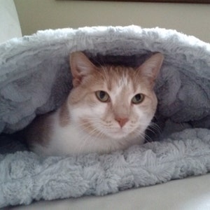 Puede incluir: Un gato blanco y naranja con ojos verdes est&aacute; acurrucado dentro de una cama de gato gris y esponjosa.