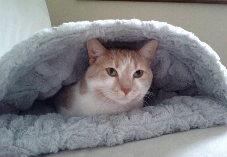Puede incluir: Un gato blanco y naranja con ojos verdes est&aacute; acurrucado dentro de una cama de gato gris y esponjosa.