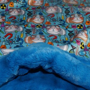 Guinea Pigs Snuggle Sack- Pouch for Guinea Pigs - Whimsical Piggy Print with coordinating Minky fur lining - 11&quot;x12&quot;