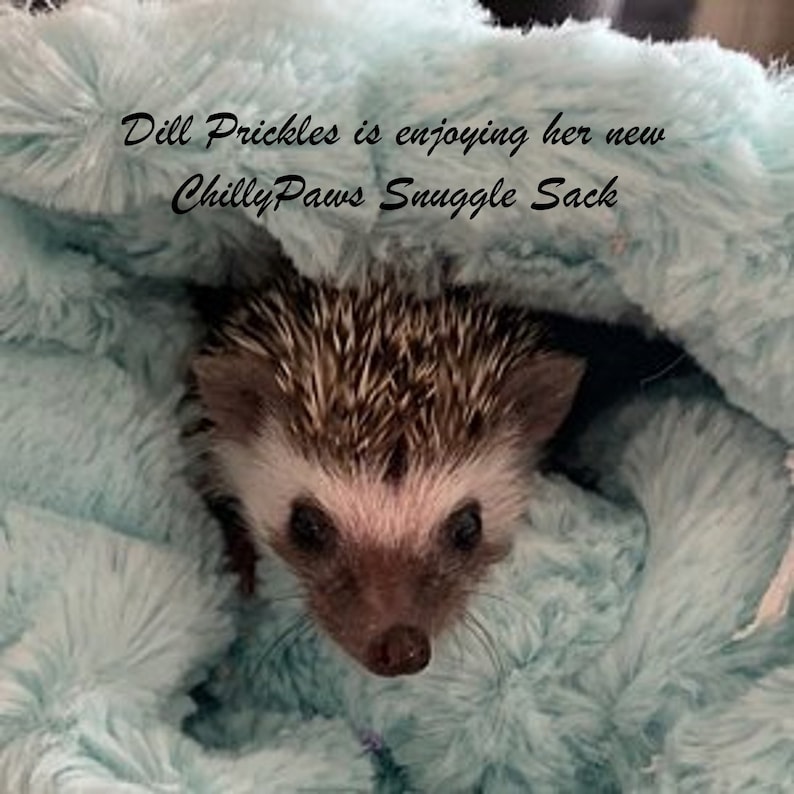 Snuggle Sack Pouch for Hamster Sugar Glider Mice Rat Etsy