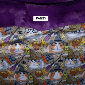 Guinea Pig Snuggle Sack- Pouch for Guinea Pigs - Magical Wizard Piggy Print with coordinating Minky fur lining - 11&quot;x12&quot;