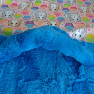 Guinea Pigs Snuggle Sack- Pouch for Guinea Pigs - Whimsical Piggy Print with coordinating Minky fur lining - 11&quot;x12&quot;