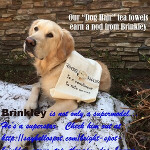 May include: A golden retriever dog wearing a white tea towel with the text "Dog Hair is a condiment in this house". The dog is sitting on a rock with snow and green plants in the background. The text "Our "Dog Hair" tea towels earn a nod from Brinkley" is at the top of the image. The text "Brinkley is not only a supermodel... He's a superstar. Check him out at http://sayhellospot.com/bright-spot-brinkley-earns-top-therapy-dog-honors" is at the bottom of the image.