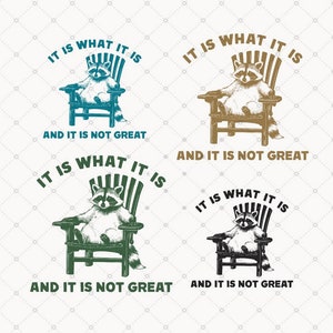 It Is What It Is PNG SVG, Funny Raccoon Png, Sarcastic Svg, Raccoon Shirt Design, Digital Download