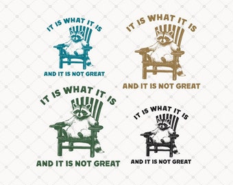 Het is wat het is PNG SVG, grappige wasbeer png, sarcastische Svg, wasbeer Shirt Design, digitale download