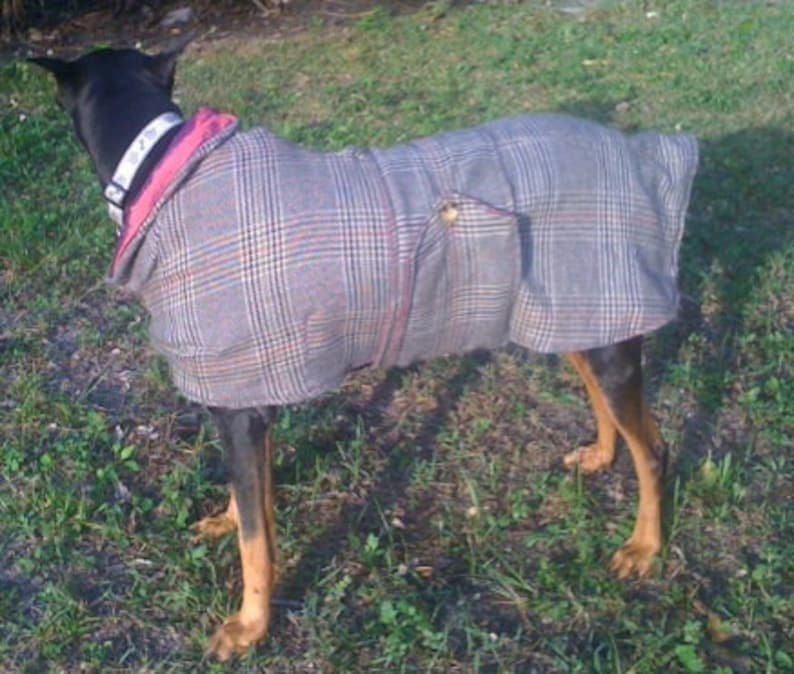 Patron Manteau Grand Chien à coudre Etsy France
