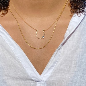 May include: A gold chain necklace with a horseshoe pendant and a small, clear gemstone. The necklace is layered over a thinner gold chain.