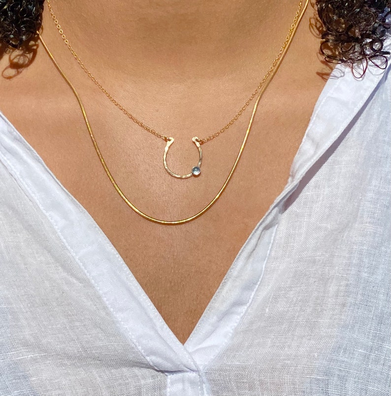 May include: A gold chain necklace with a horseshoe pendant and a small, clear gemstone. The necklace is layered over a thinner gold chain.