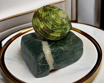 Sea Stone and Shell Handmade Gift Statue Sea Stones for Crafts Beach Pebbles Aquarium Decor Natural Home Gift Natural Decor Prezent