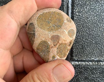 Beautiful rare sea stone Coastal pebbles Stones for crafts Gift to friend Beach stone Sea stones Pebbles for aquarium Pebbles for rock art