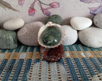 Sea Stone and Shell Handmade Gift Statue Sea Stones for Crafts Beach Pebbles Aquarium Decor Natural Home Gift Natural Decor Prezent