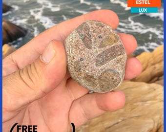Beautiful rare sea stone Coastal pebbles Stones for crafts Gift to friend Beach stone Sea stones Pebbles for aquarium Pebbles for rock art
