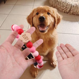 Puede incluir: Un clip para chupete con cuentas rosas, rojas y blancas con un dije de madera en forma de flor que dice "RUBY". El clip tiene un cierre de metal. Un cachorro de golden retriever está en el fondo.