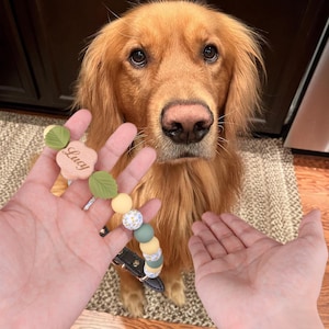 Personalized dog collar, custom silicone beaded necklace, animal lover gift, Mother&#39;s Day Gift For Dog Mom, Dog Memorial Gift