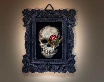 Dark Academic handmade skull wall art, bookish decor, miniature art, mushroom