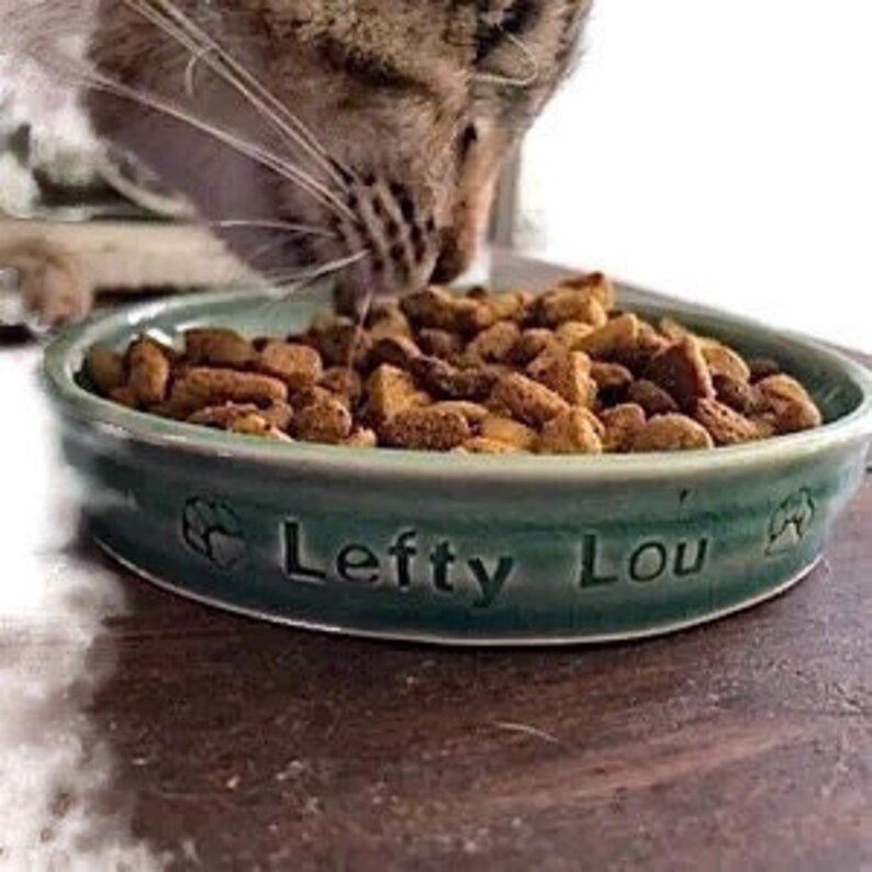 Personalized Cat Feeder Ceramic Cat Food Dish MADE TO ORDER Etsy
