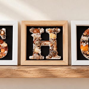 May include: Three square shadow box frames containing the letters S, H, and C. The letters are decorated with various small seashells in shades of brown, orange, and white. The letters are mounted against a solid black background inside the frames.