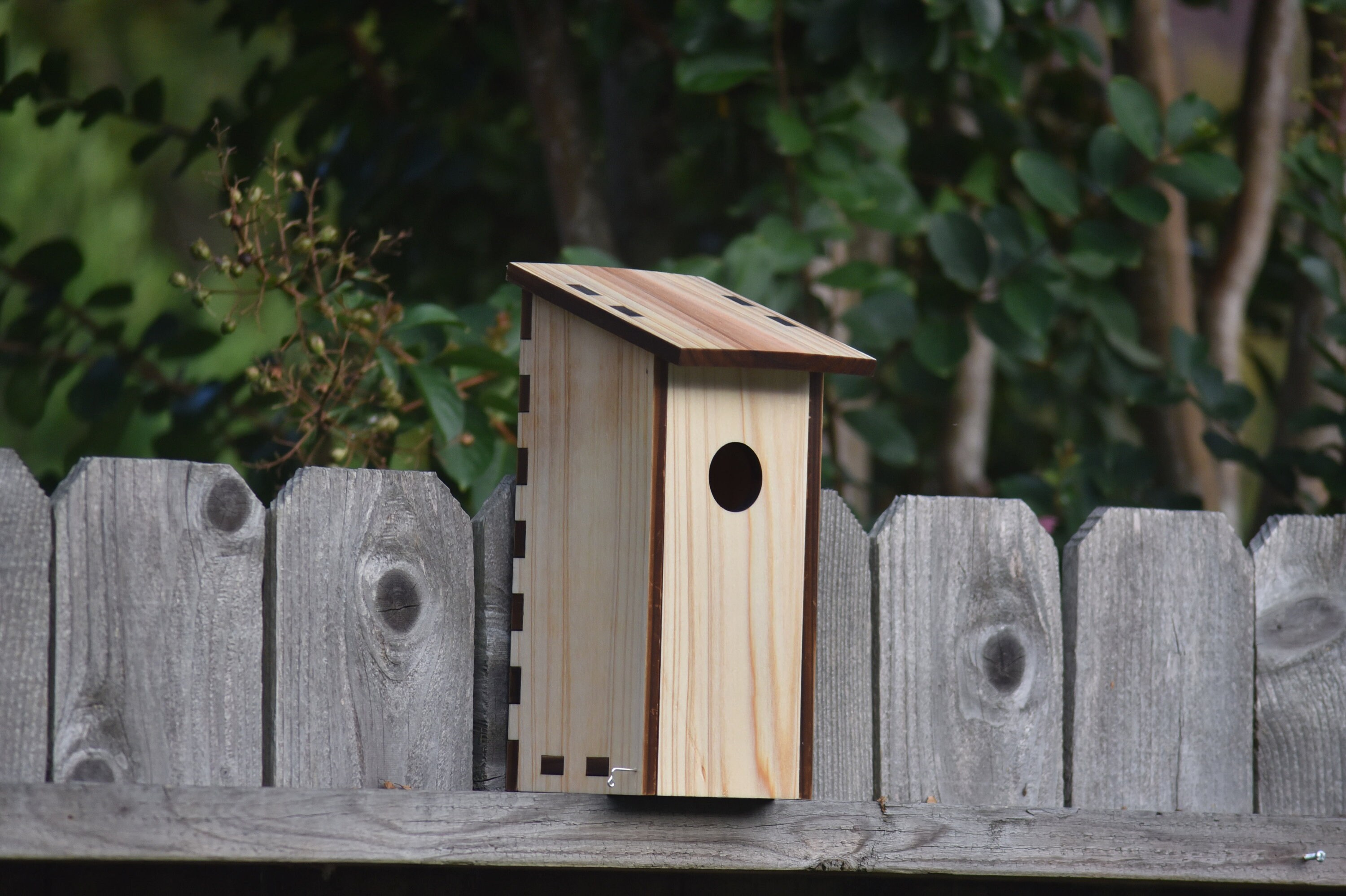 Cedar Bird House - 1.25