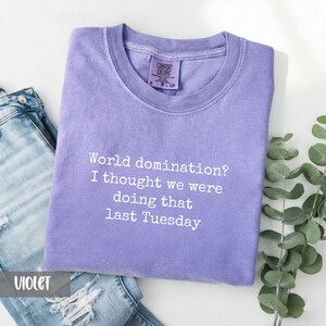 Comfort Colors Sarcastic Tee: World Domination Meeting Shirt image 9
