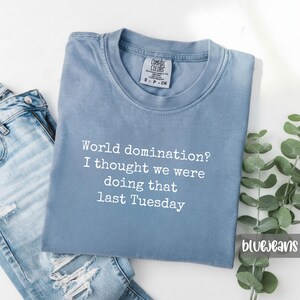 Comfort Colors Sarcastic Tee: World Domination Meeting Shirt image 6