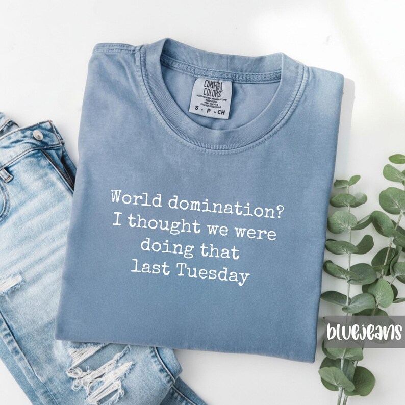 Comfort Colors Sarcastic Tee: World Domination Meeting Shirt image 6