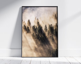 Moody Trees Forest Lightrays | Nature Print | Tree Fog Print | Mystical Nature Print | Nature Poster | Light Rays Mood | Forest Photography