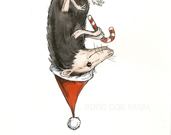 A Festive Fellow..  The Holiday Possum  8 x 10