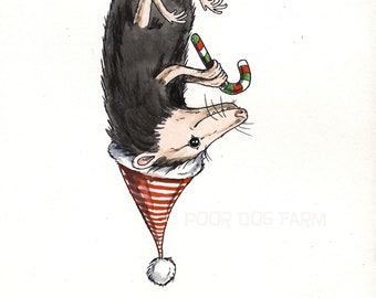 A Festive Fellow..  The Holiday Possum  8 x 10